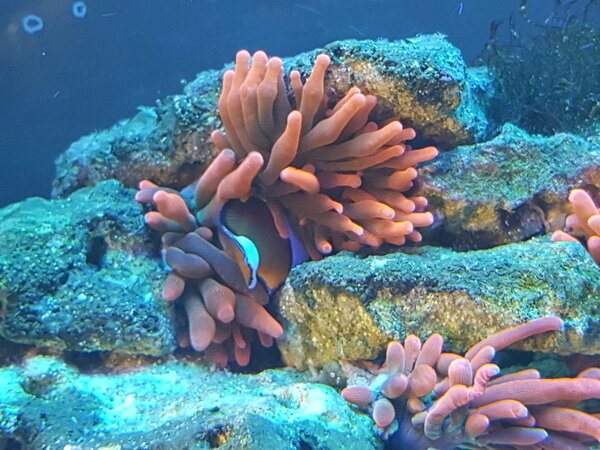 20190403_093644.jpg