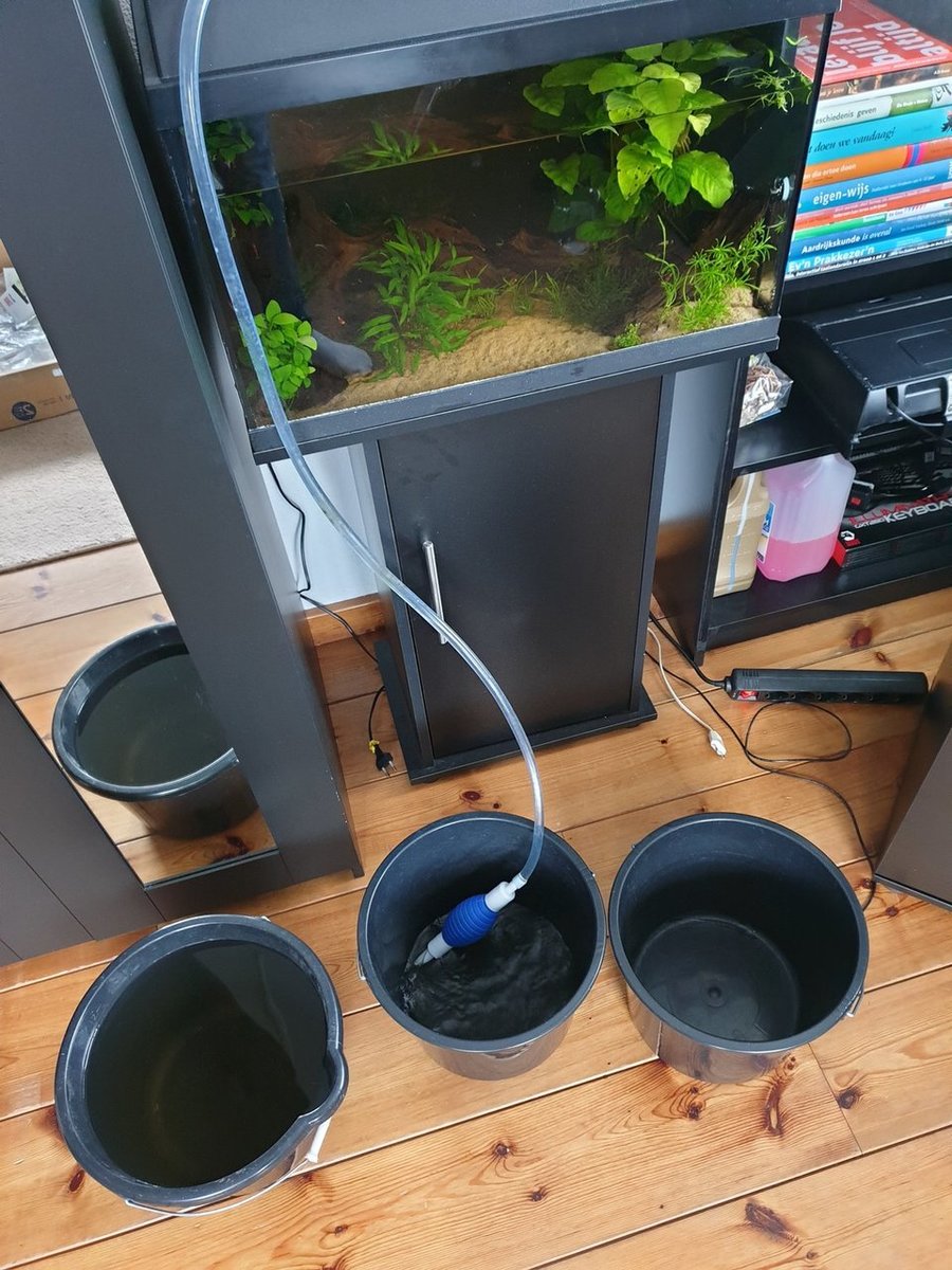 20190403_100755.jpg