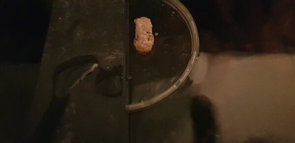 20190403_232917.jpg