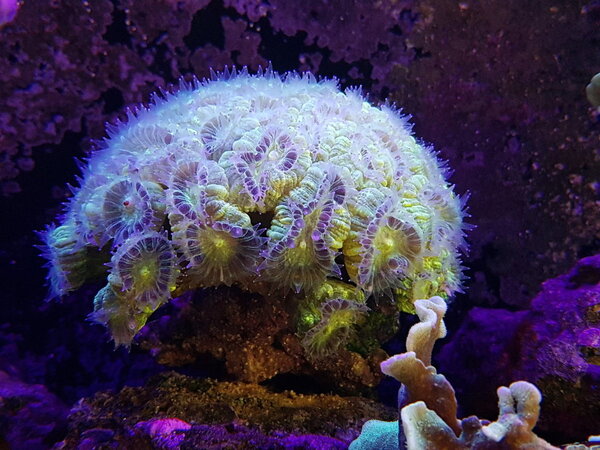 20190416_074844.jpg