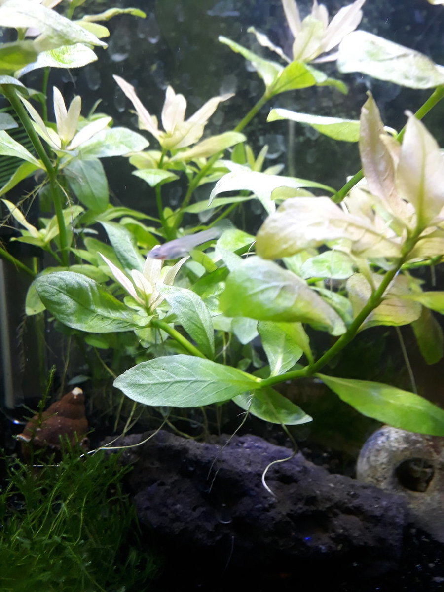 20190427_230549.jpg