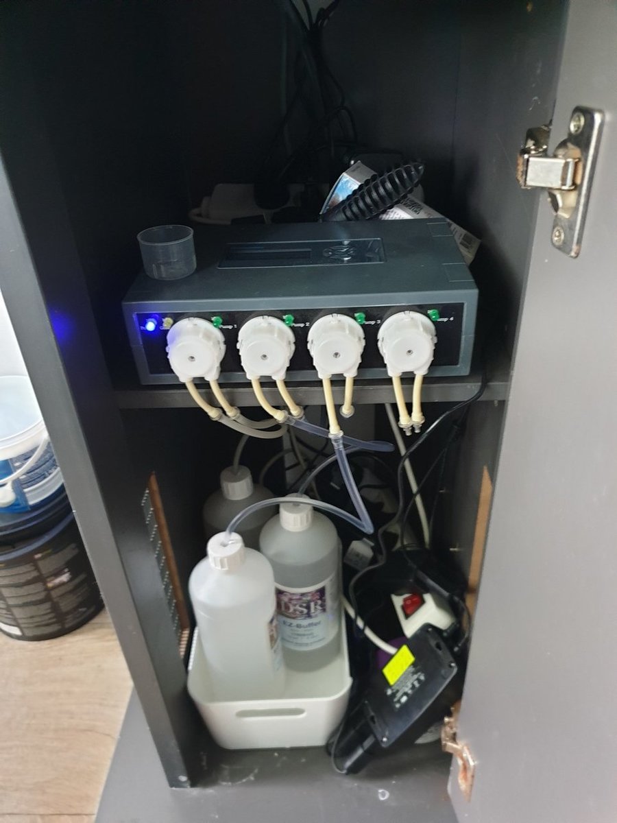 20190428_125411.jpg