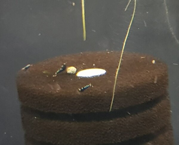 20190502_221335.jpg