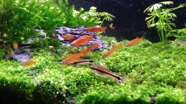 20190505_170734.jpg