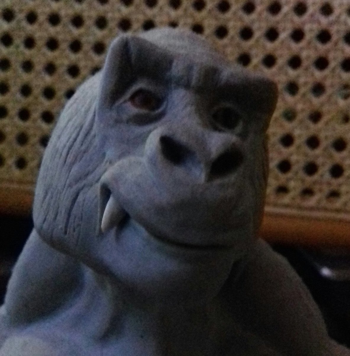 20190505_192123-1.jpg