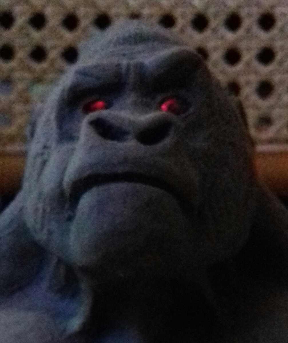 20190505_192222-1.jpg