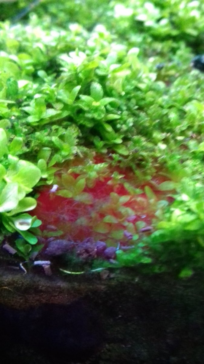 20190509_224900.jpg