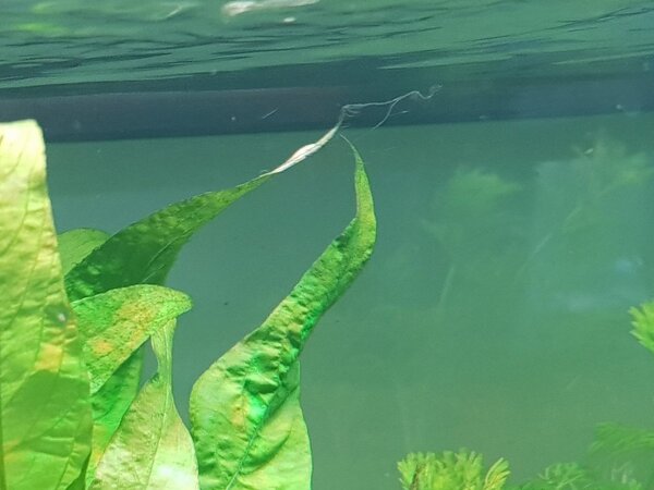 20190511_200512.jpg