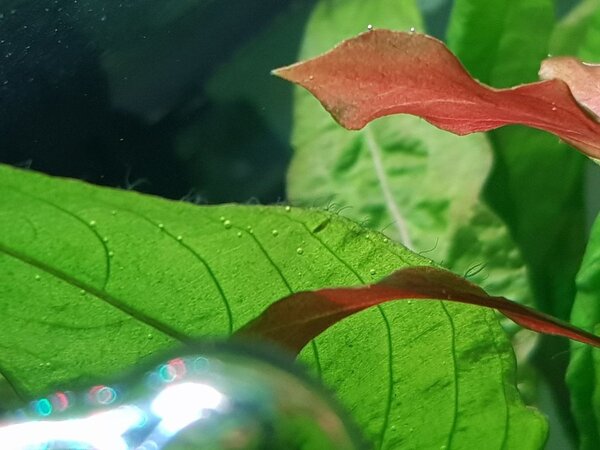 20190511_200525.jpg