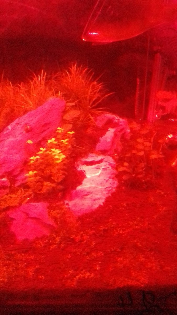 20190512_193519.jpg