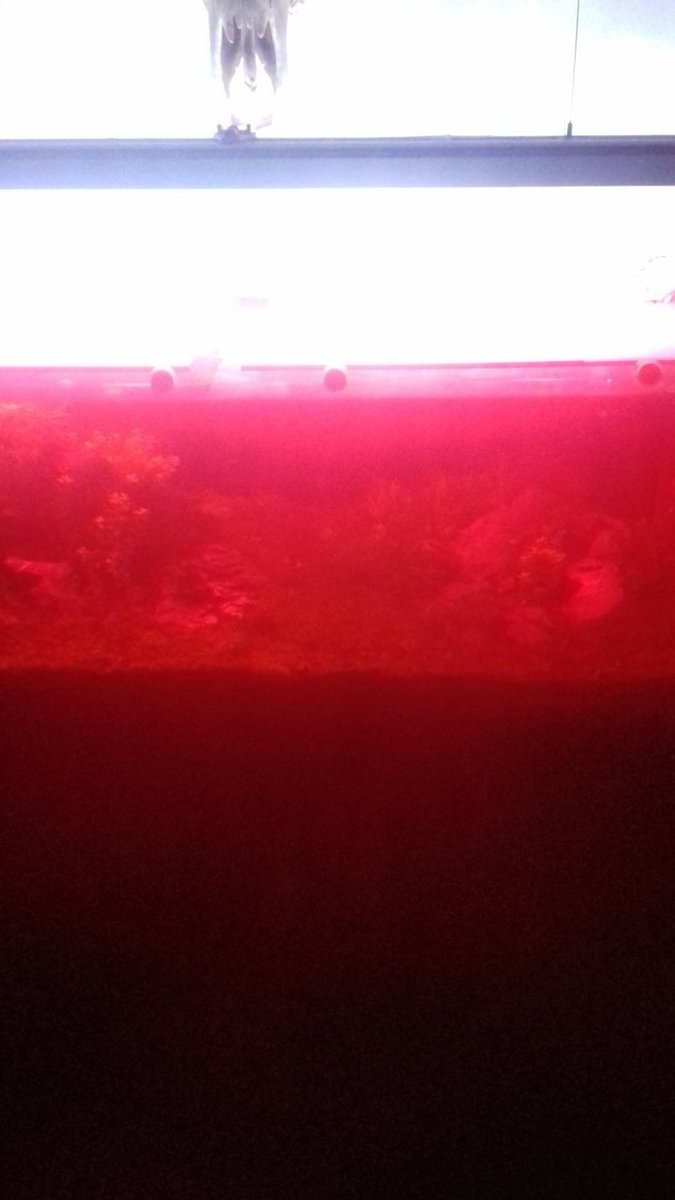 20190512_193537.jpg