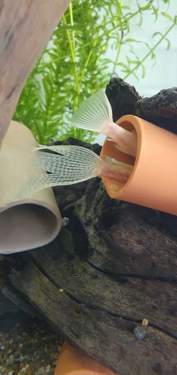 20190518_133441.jpg