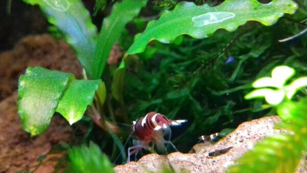 20190525_160450.jpg