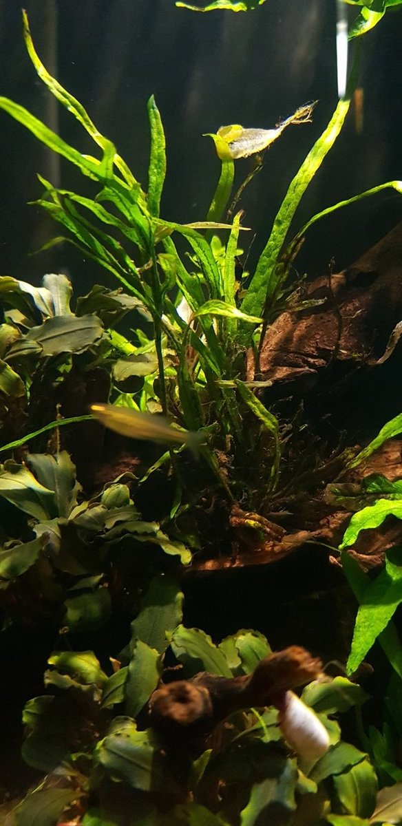 20190529_111627.jpg