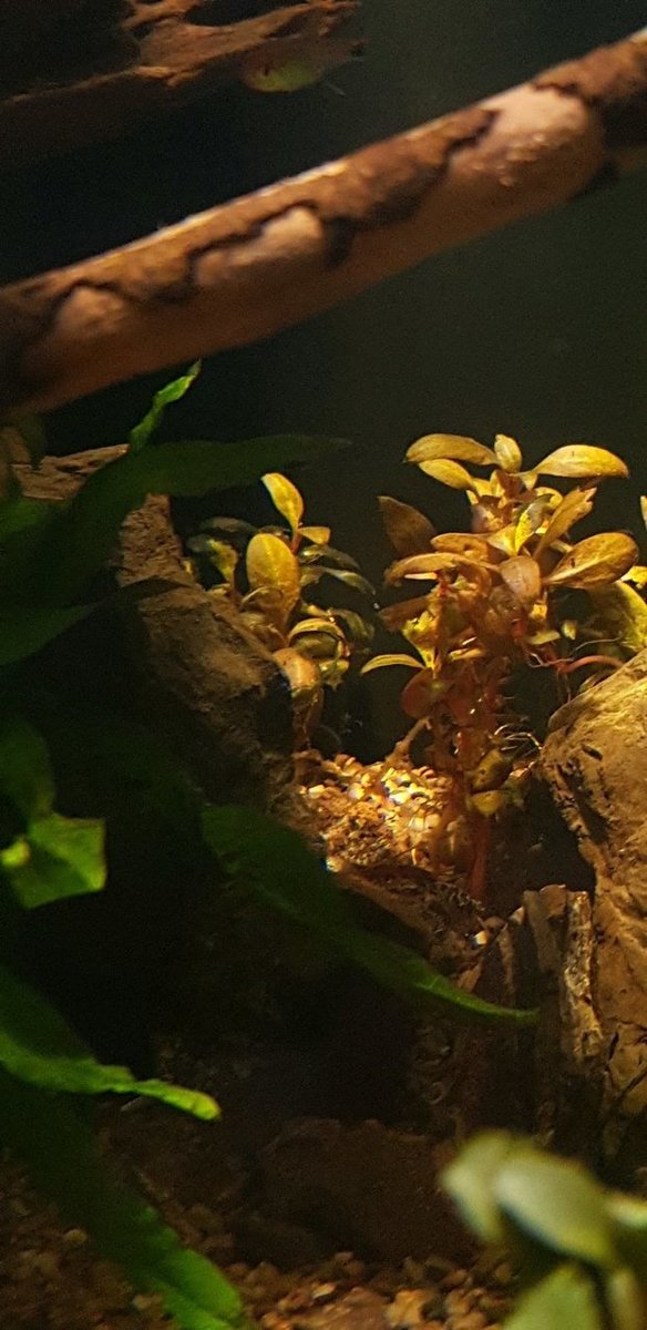 20190529_111755.jpg