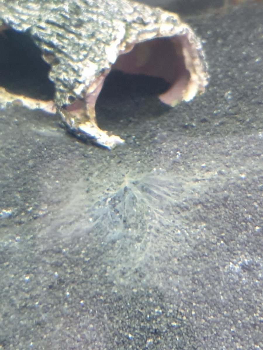 20190603_162521.jpg