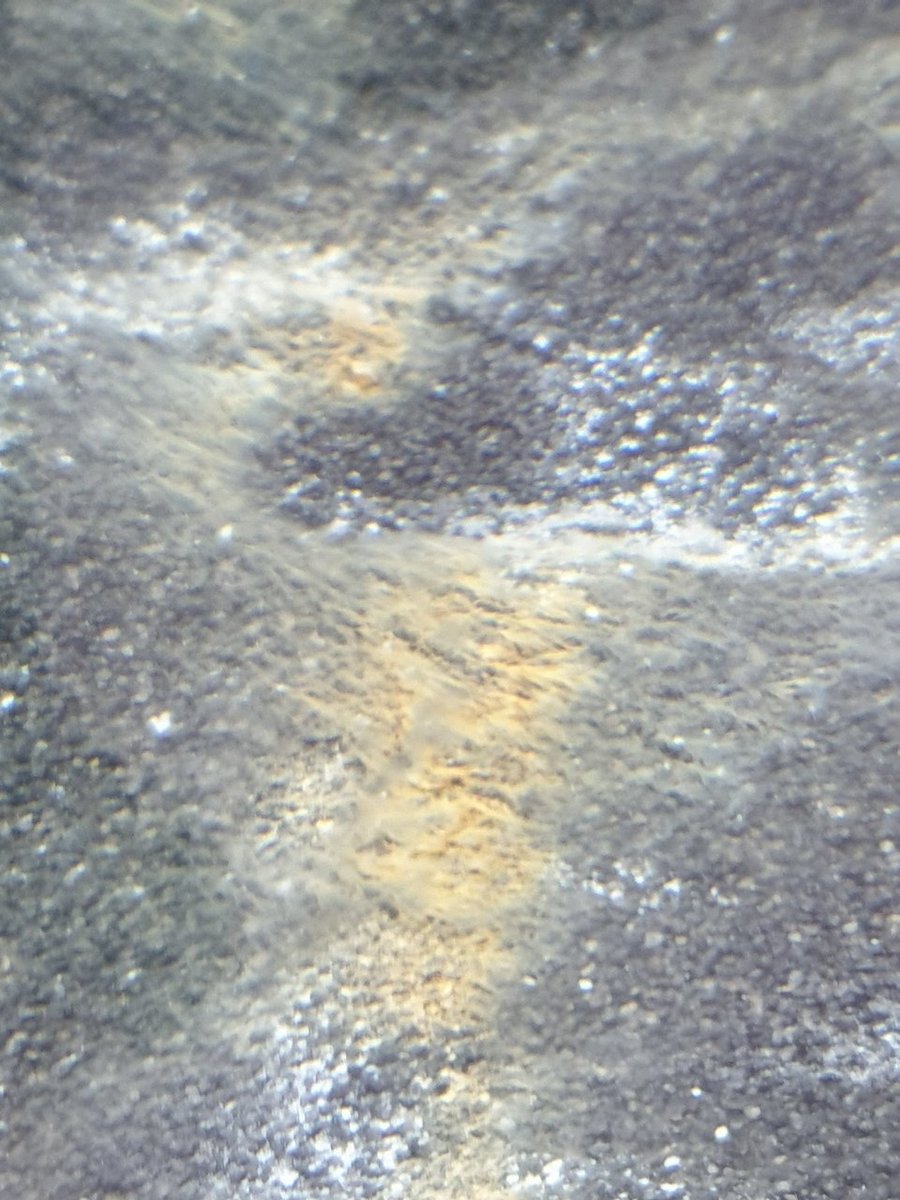 20190603_162525.jpg