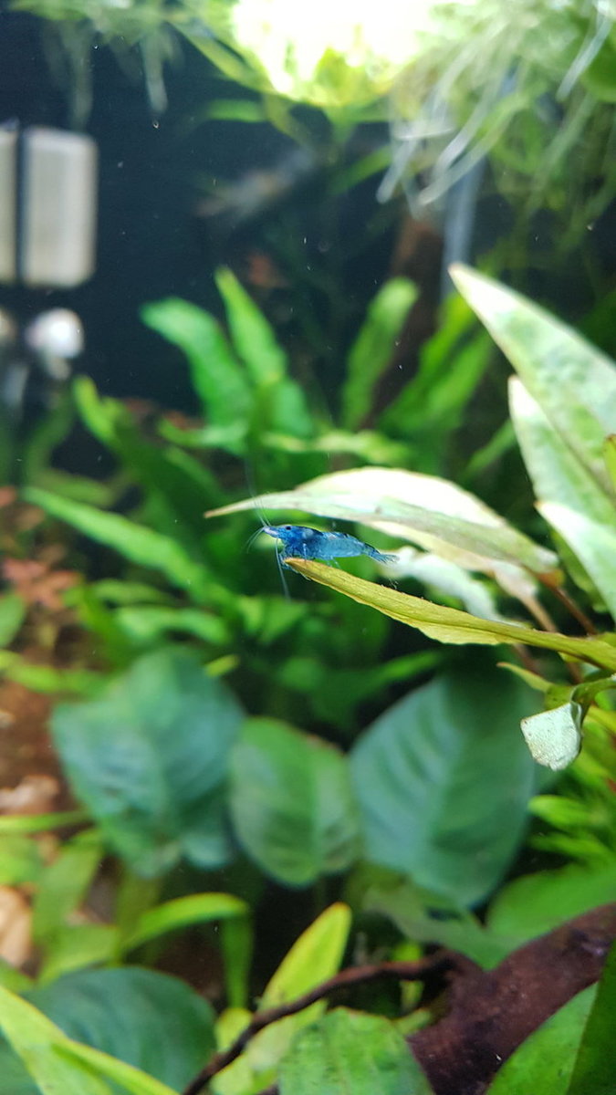 20190610_160738.jpg