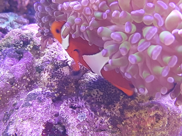 20190705_104344.jpg