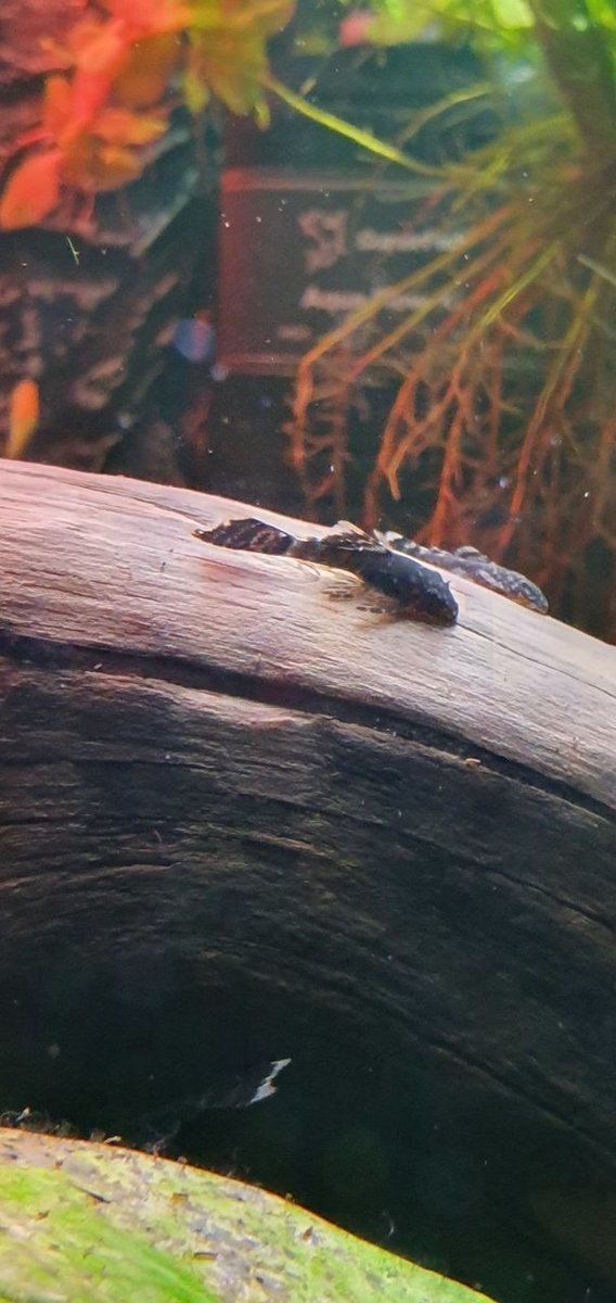 20190710_193039.jpg