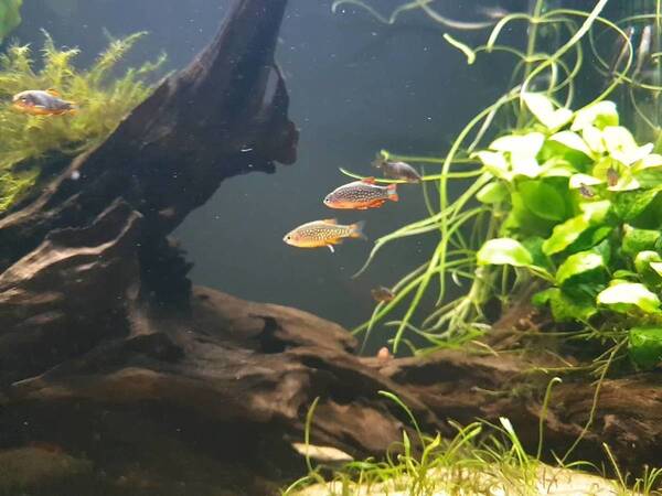 20190722_010205_capture.jpg