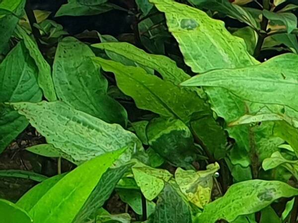 20190723_185831.jpg