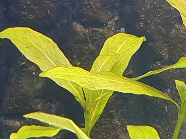 20190723_185842.jpg