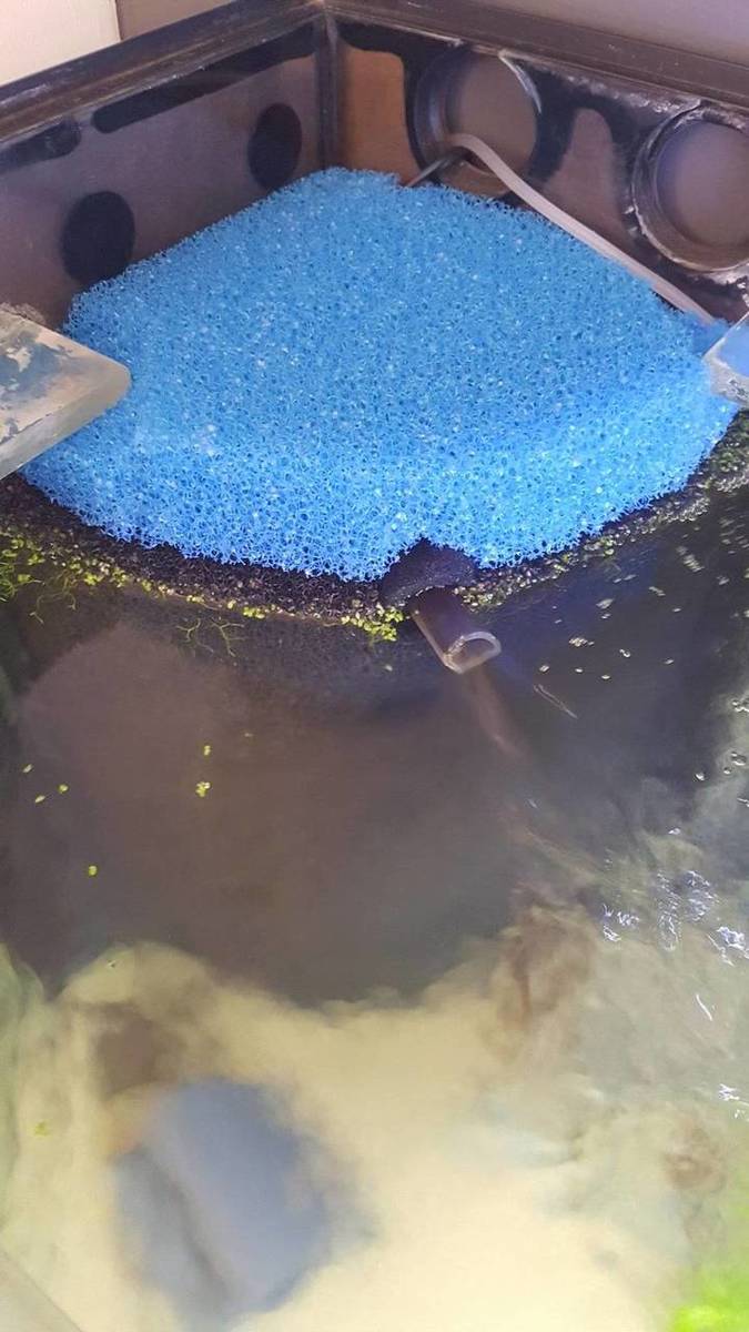 20190724_164257.jpg