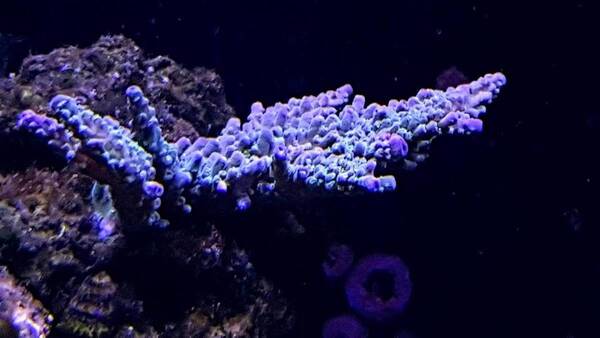 20190728_191844.jpg