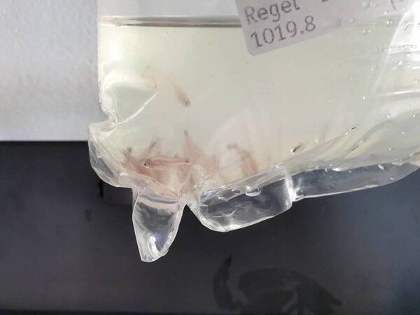 20190821_174946.jpg