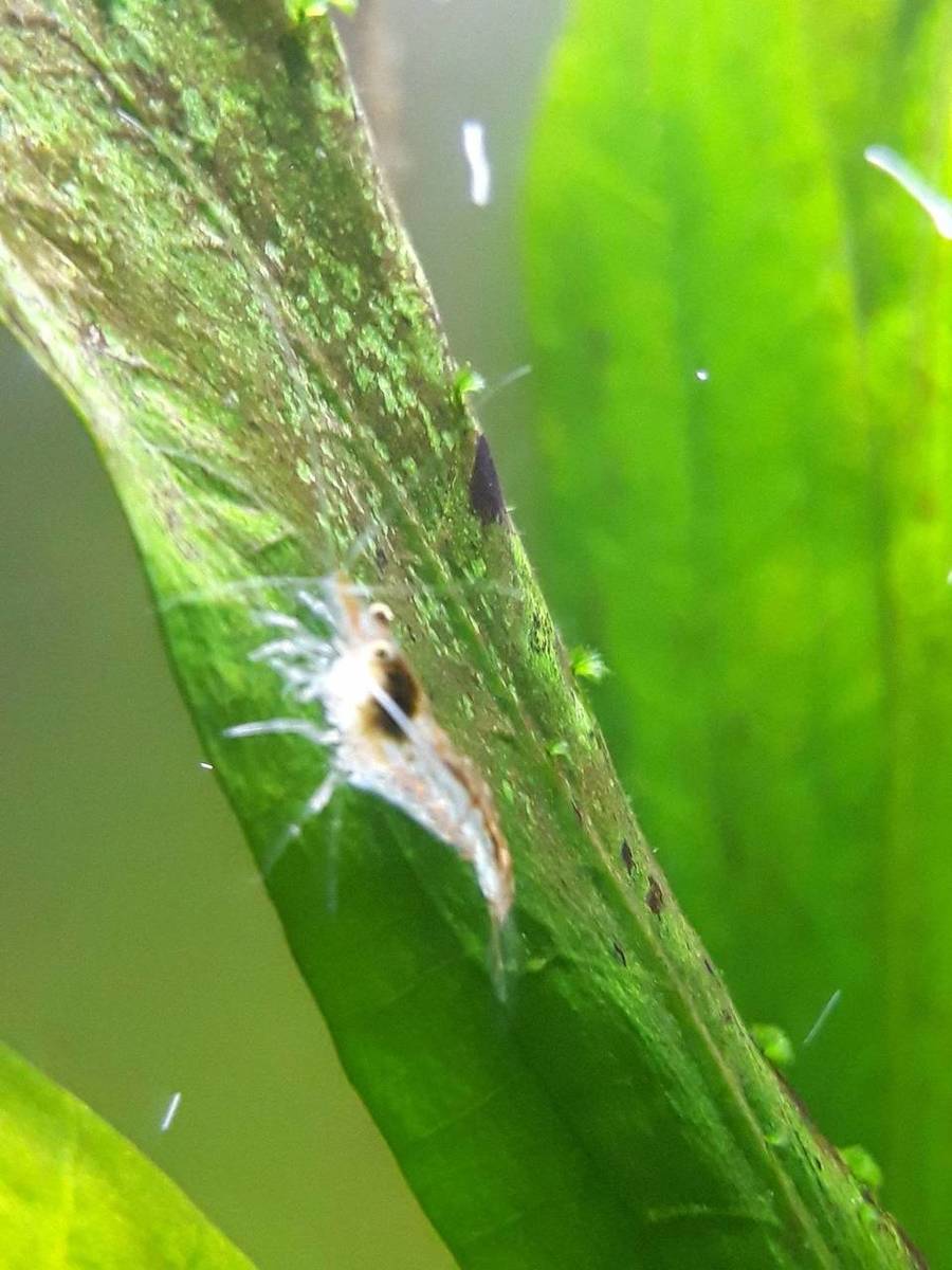 20190828_202543.jpg