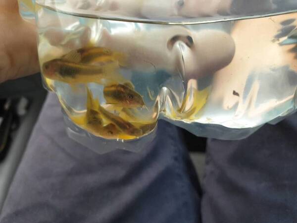 20190829_150404_capture.jpg