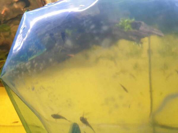 20190830_172826.jpg