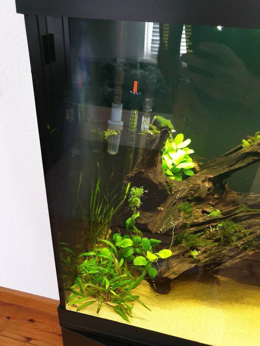 20190831_135446.jpg