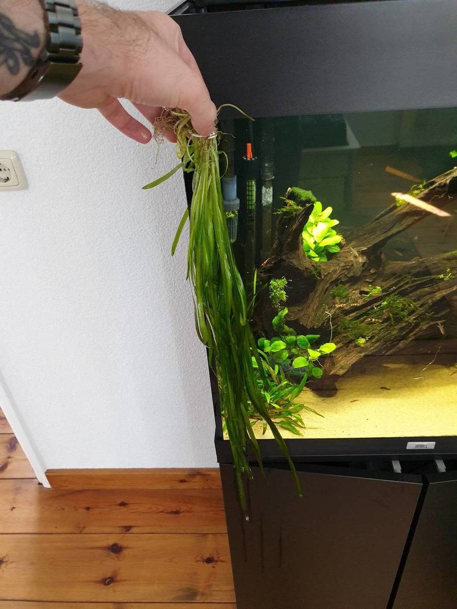 20190831_135537.jpg