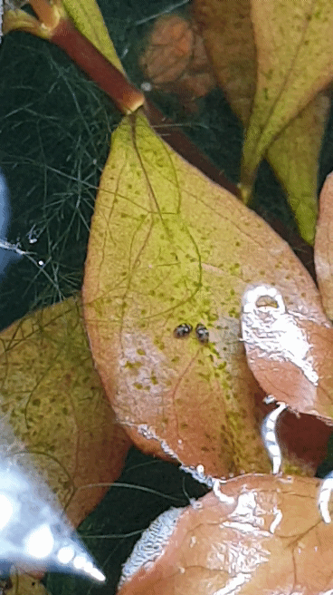 20190914_202818_1.gif
