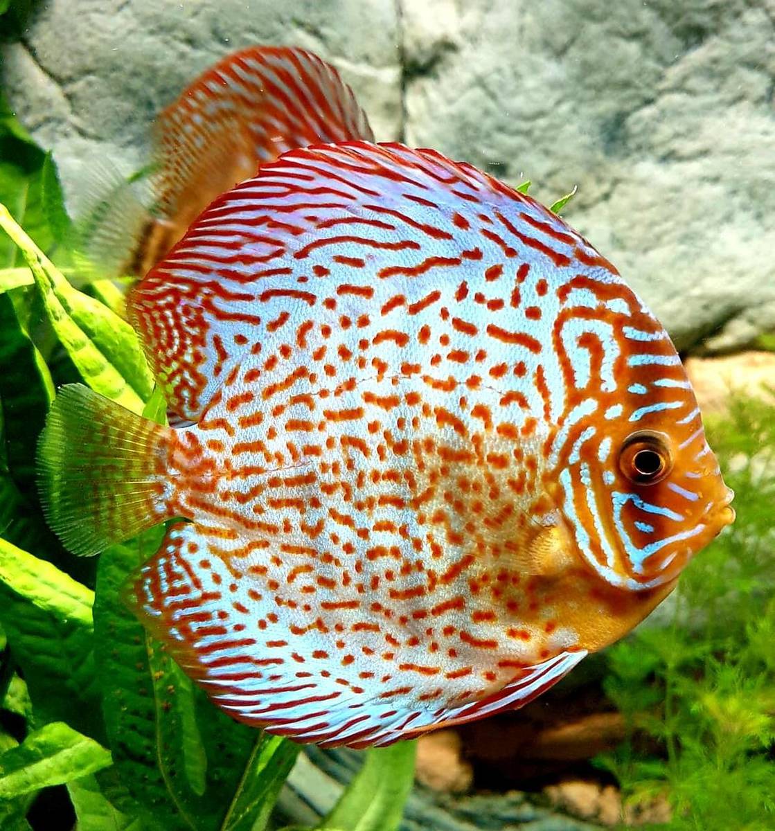 20190915_223012.jpg
