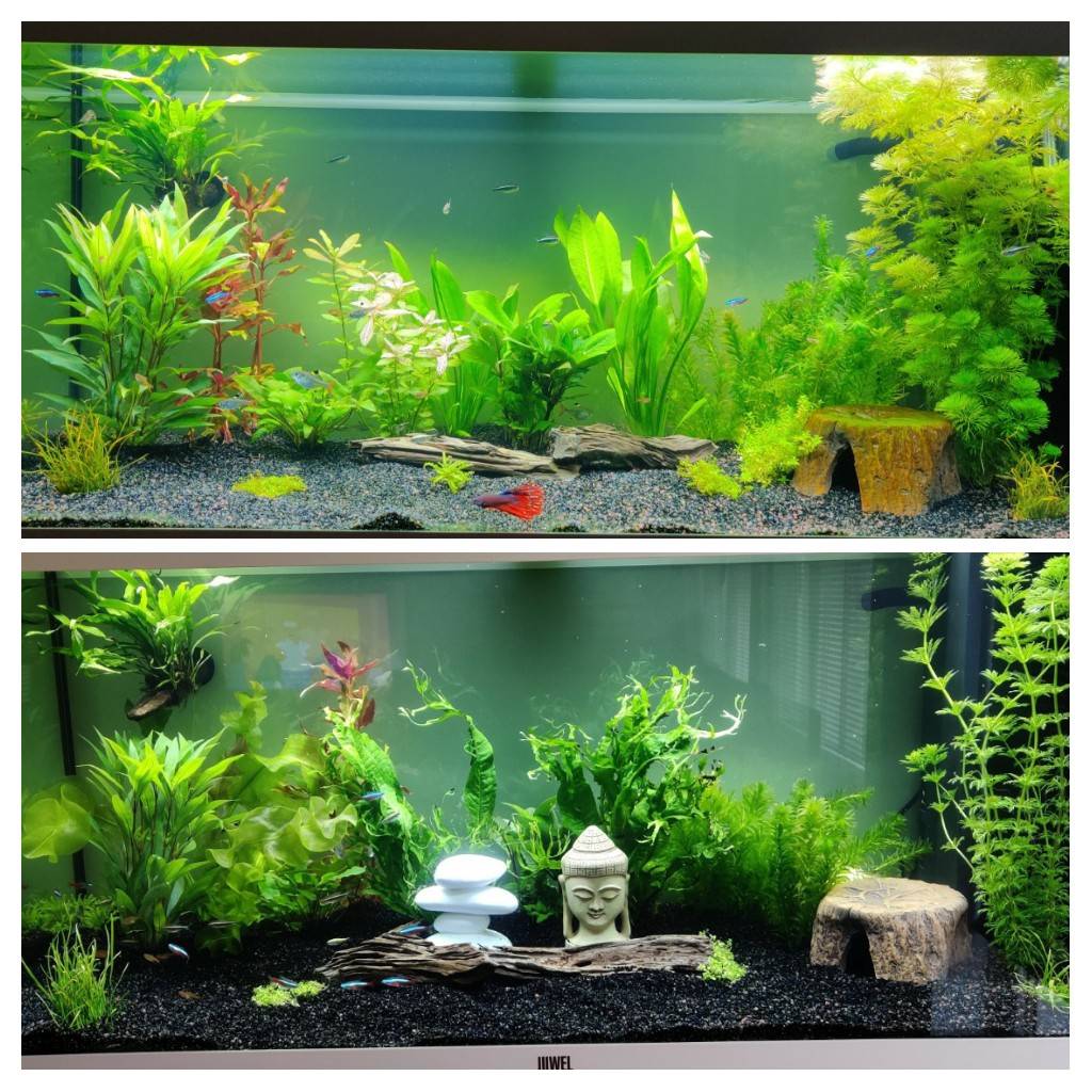 20190917_194407-COLLAGE.jpg