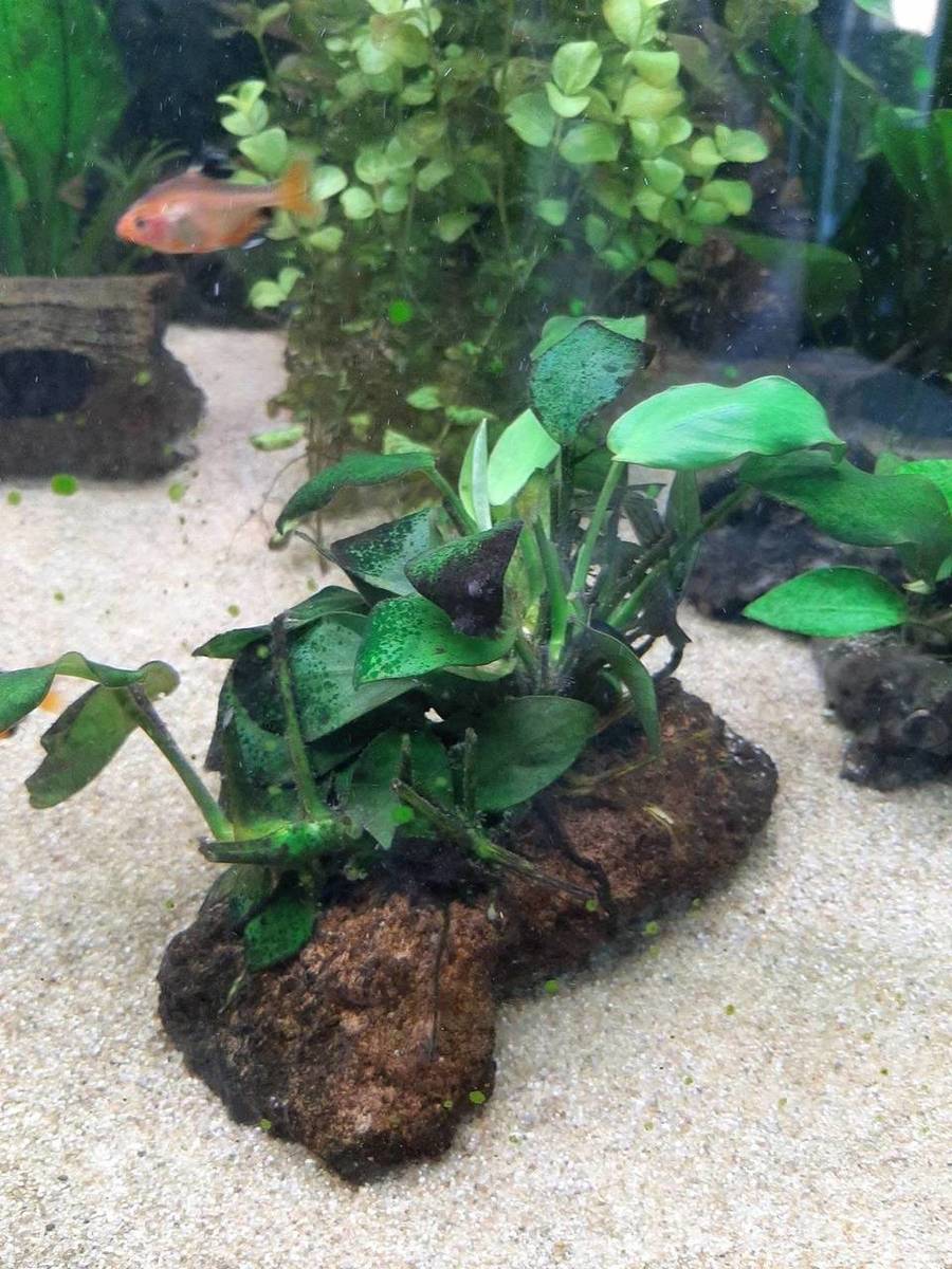 20190919_172118 (1).jpg