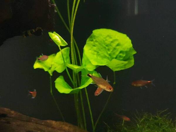 20190922_155856_capture.jpg