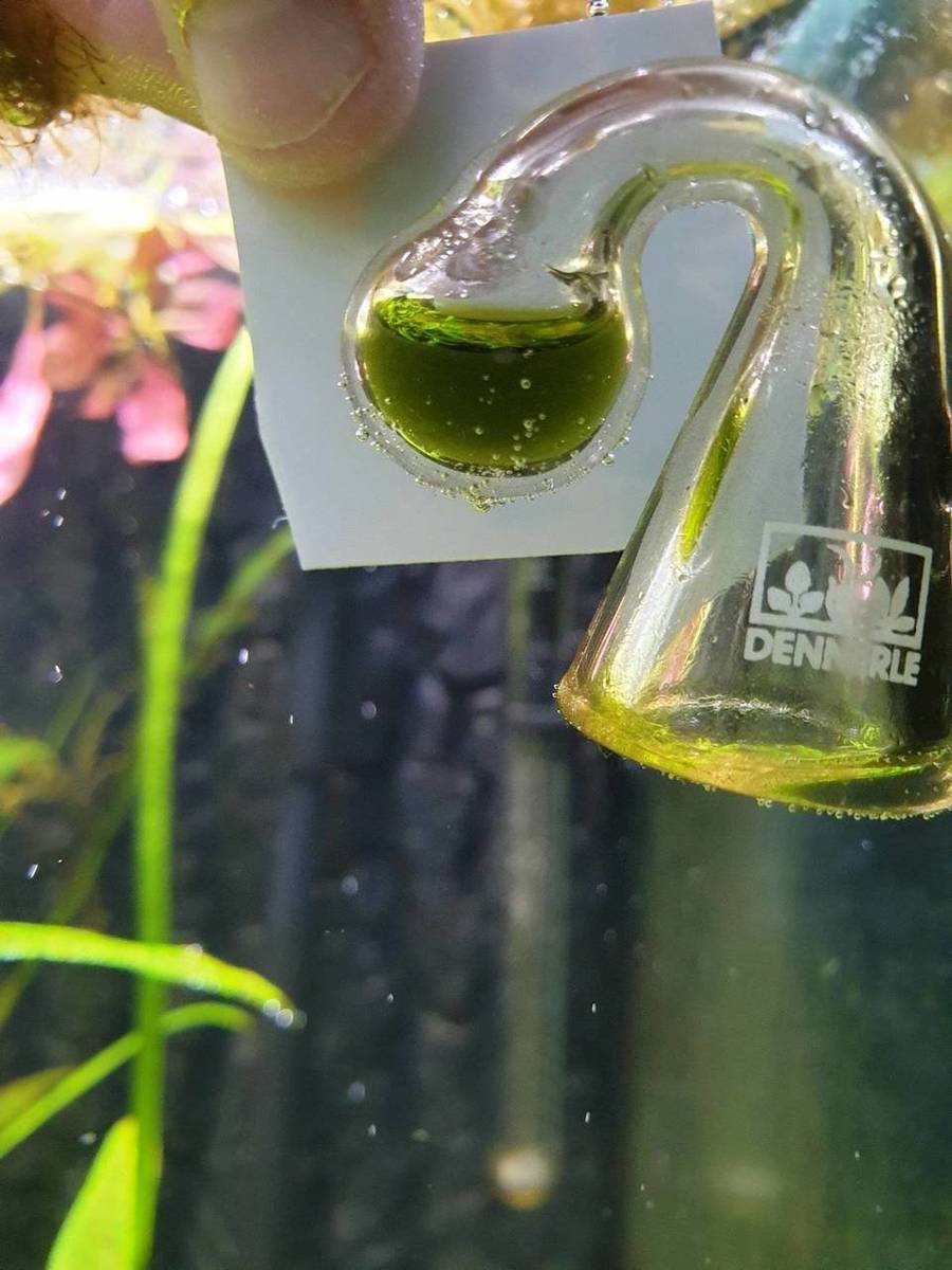 20190927_183141.jpg
