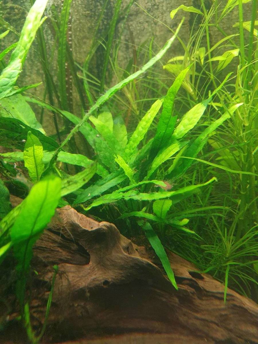 20190929_210937.jpg