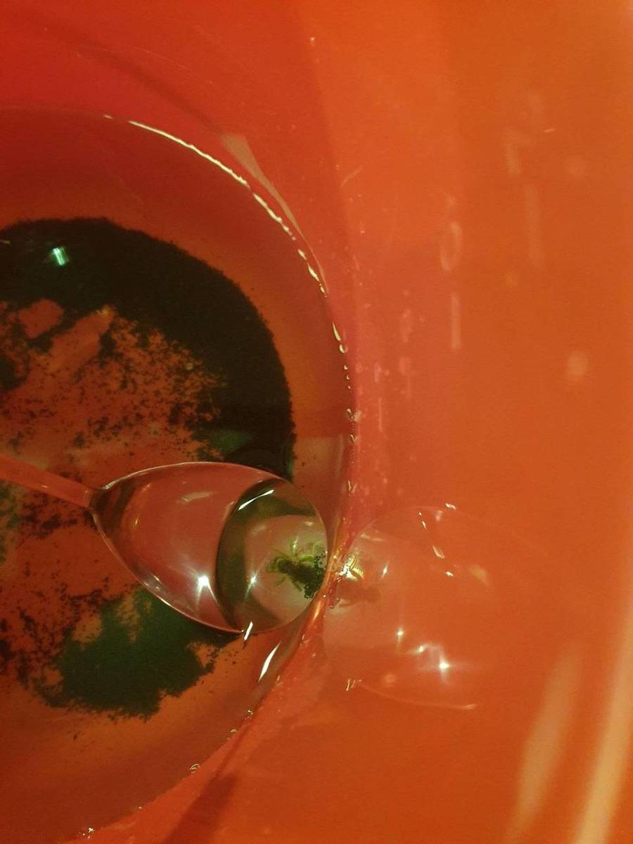 20191001_211823.jpg