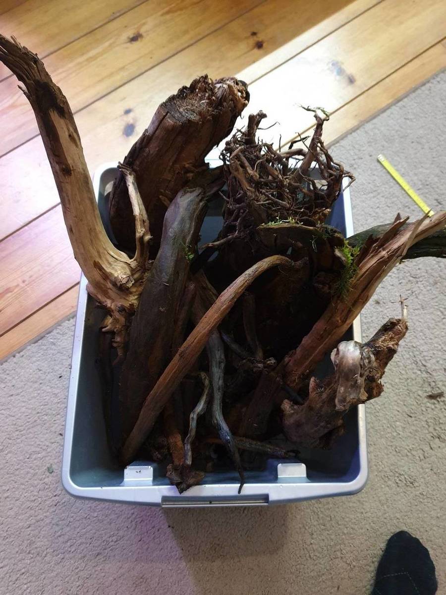 20191004_205220.jpg