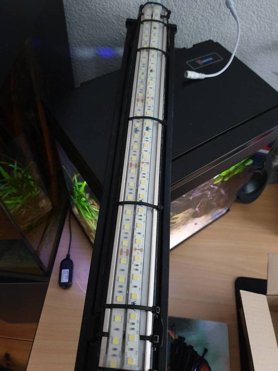 20191007_172005.jpg
