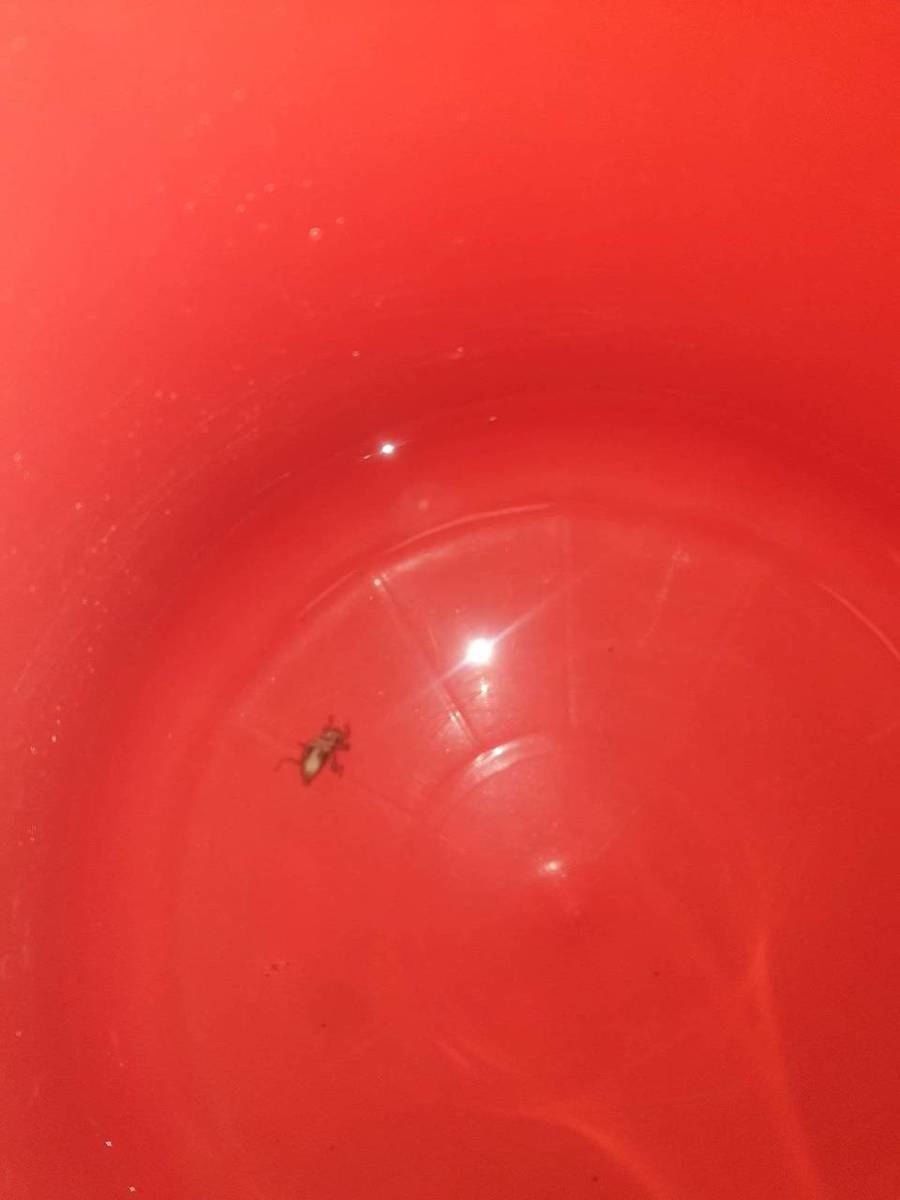 20191011_142153.jpg