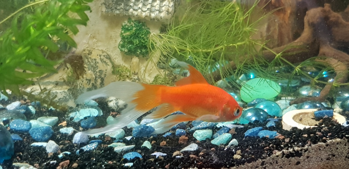 20191019_124627.jpg