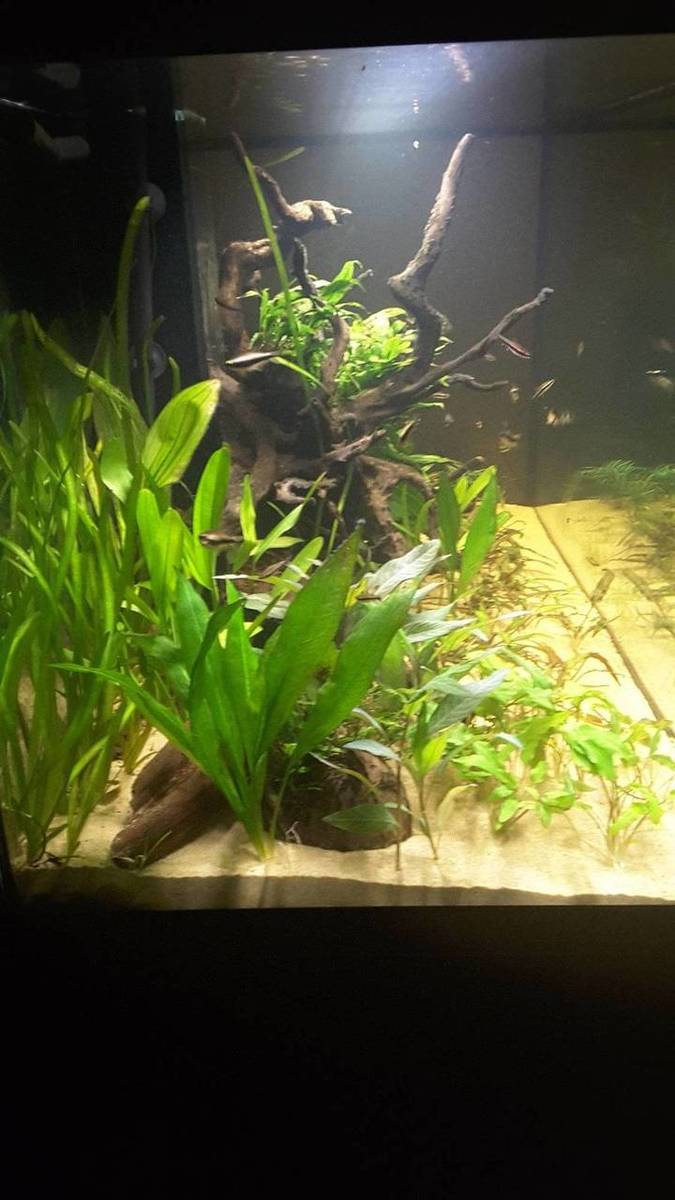 20191104_200450.jpg