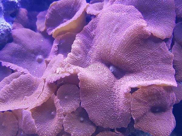 20191113_213547.jpg