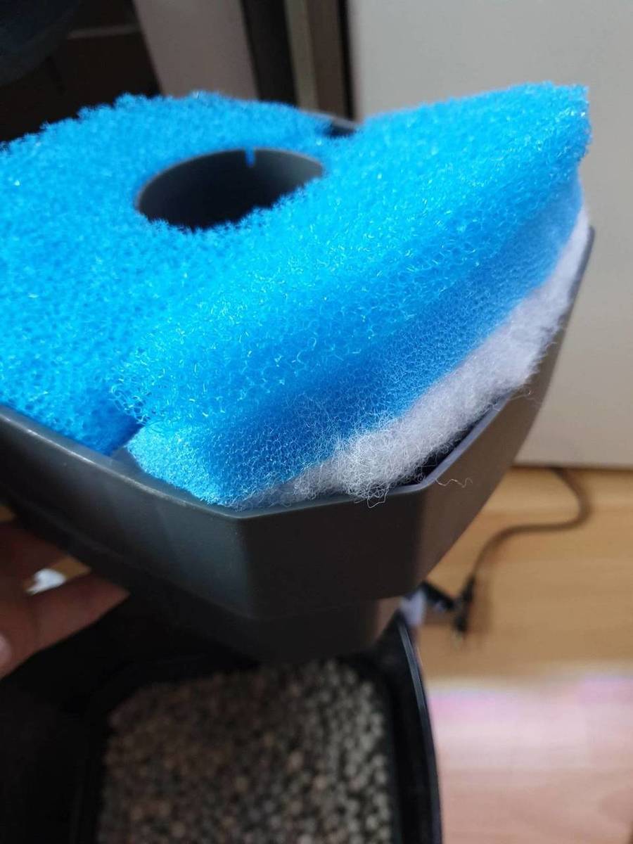 20191122_144507.jpg